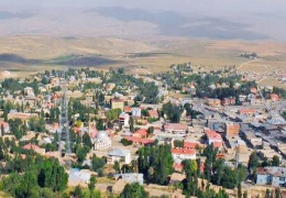 Elbak göç ediyor