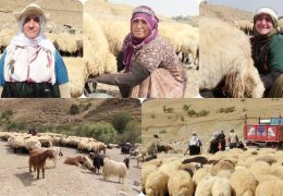 Yayla sezonu bitti, ürün yok 