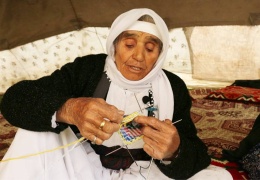 100 yaşında bir çınar