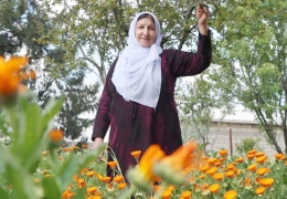 Toprak gördüğü her yere gül ekti