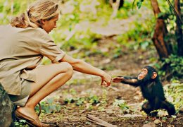 Şempanzelerin de duyguları vardır