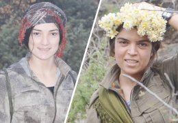 Wan’ın Ararat’ı, Kobanî’nin Zîn’i