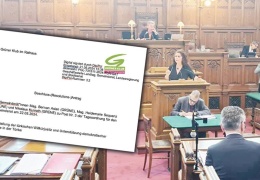 Viyana net tavır alacak