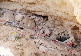 Esad’ın toplu mezarları