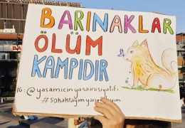 İktidar tüm canlıları yok etmek istiyor!