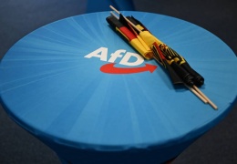 AP seçimleri ve AfD’nin yükselişi