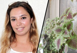 Bir çay çiçeği: Deniz Poyraz