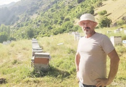 Yayla yasakları arıcıları vurdu