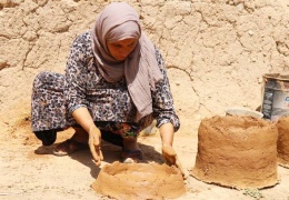 Bir kovandan arıcılığa
