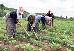 Kadınlar için mayınlı tarla