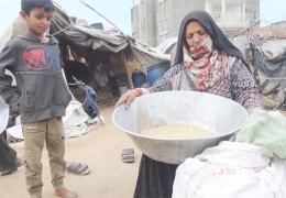 733 milyon insan aç