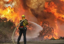 Orman alevlere teslim