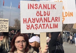 Yaş kesen, baş keser!