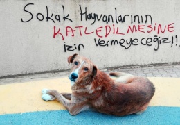 Yasa geçti katliamlar başladı