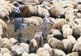 Bêrîvanlık bitiyor