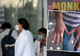 Maymun çiçeği Avrupa'da