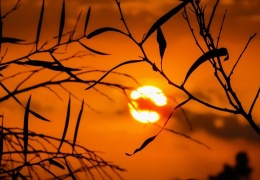 Güneşe yolu düşenler