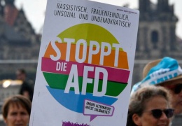 İki eyalette AfD endişesi