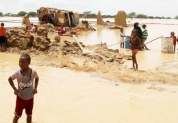 Sudan sele 173 can verdi