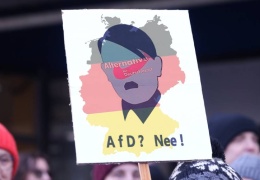 AfD değil, alternatif konfederalizm
