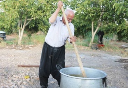 İklim krizi ‘bastik’i de vurdu