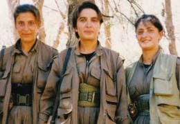 Gri günler