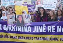 Rojin’i kim kaybettirdi? Devlet neden sessiz?