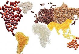 Gıdanın üçte biri israf ediliyor