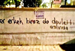 Toplumsal erkekçilik