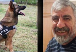 Köpek polisler saldırdı