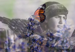 Kelebeğin kanatları