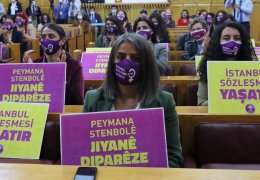 HDP: Eşbaşkanlık değil, tekçilik suçtur!