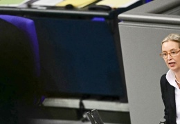 AfD anketlerde birinci