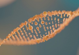 Topraktan gelen DNA