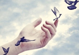 Friya: Özgürlüğün kuş dili