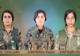 Tolvîn, Amanos ve Berfîn: Bir Kürt, iki Arap savaşçı