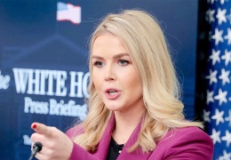 Terör şüphelisi Türk yakalandı