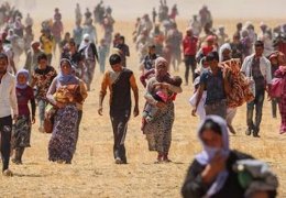 Şengal kararı  korsanvari bir karardır