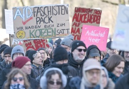 Almanya faşizme karşı ayakta