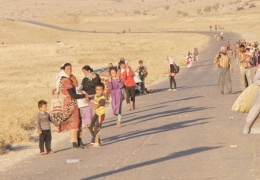 Colani’nin elinde Êzîdî kanı var