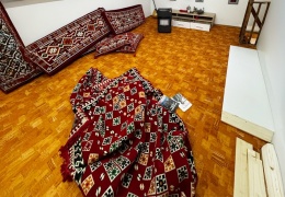 Almanya kadın aktivisti tutukladı