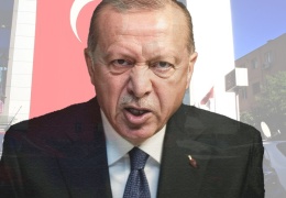 Devletin iç organları