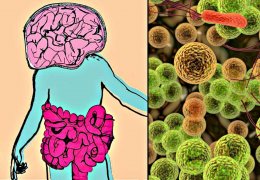 Bakteriler ruh halimizi nasıl belirliyor?