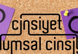 Toplumsal cinsiyet kavramı neden yasaklandı?