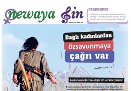 Newaya Jin’ın bir solukta okuyabileceğiniz sayısı