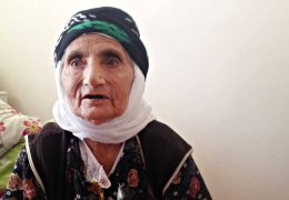 Îdir’in asırlık çınarı