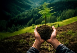 Doğa ile dost bir yeniden doğuşa