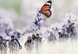 İpek böceği ve Kürt hareketi