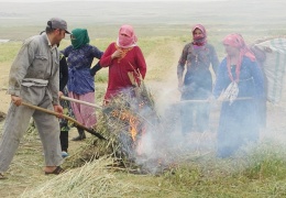 Demokratik ulusla komünalist yaşam