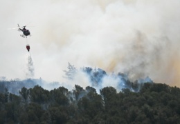 2 yılda 78 milyon dönüm alan yandı